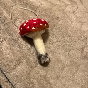 Anna added a photo of their purchase