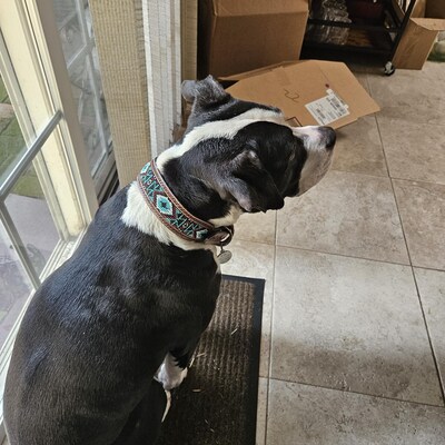 tooled leather sandals