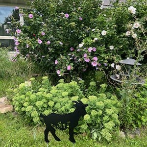Kathy added a photo of their purchase