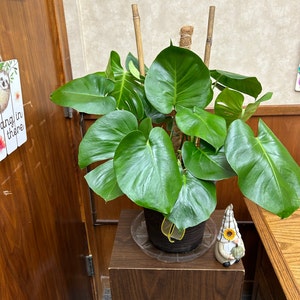 Randi added a photo of their purchase