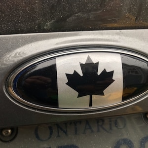 Dave added a photo of their purchase