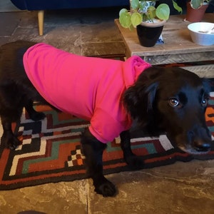 Helen added a photo of their purchase