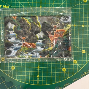 Rosa added a photo of their purchase