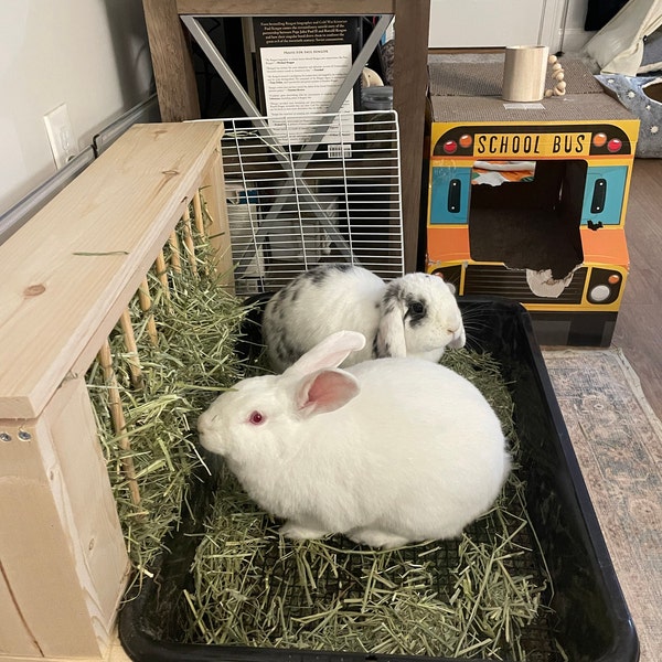 XL 1.0 - Hop Box:rabbit Bunny Hay Feeder and Litter Pan Combo - Etsy