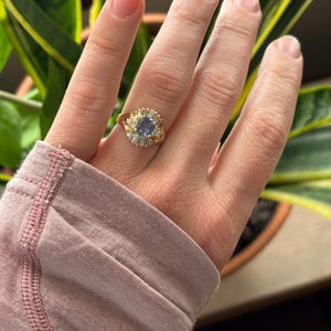 Nadia added a photo of their purchase