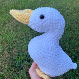 Sarah added a photo of their purchase