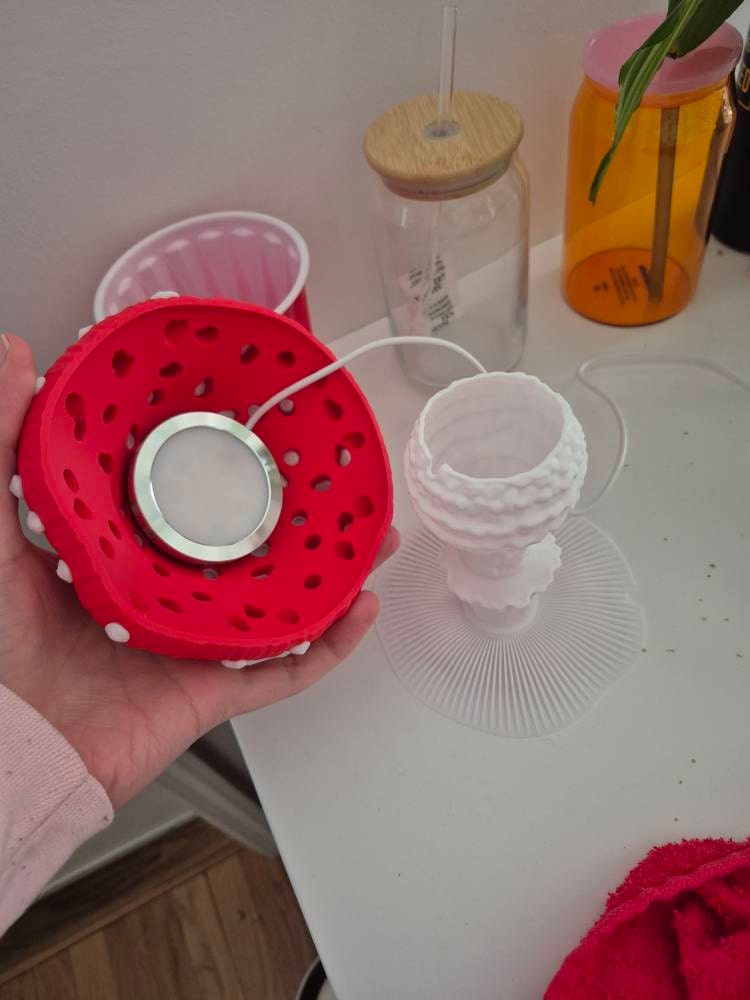 Cottagecore Mushroom Lamp