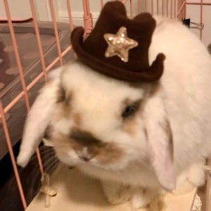 Chapeau de cowboy pour lapin de compagnie et autres petits animaux
