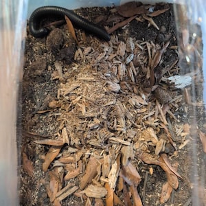 Nicole added a photo of their purchase