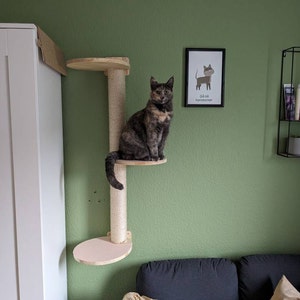 Søren ha aggiunto una foto del proprio acquisto