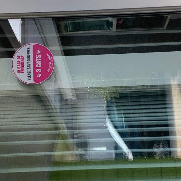 Flush Toilet Paper Only Sticker - Waterproof - Restroom Sign - Bathroom ...