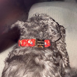 Barb added a photo of their purchase