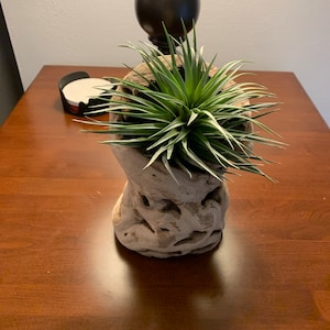 Wendy added a photo of their purchase