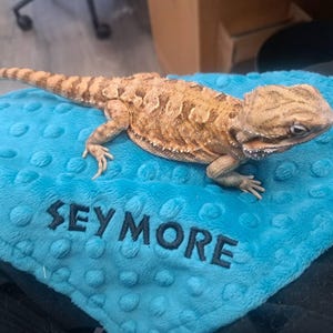 Kayla hat ein Foto des gekauften Artikels hinzugefügt