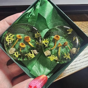 Ashley added a photo of their purchase