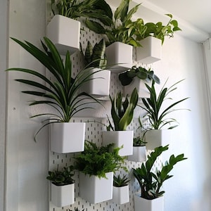 Gerrit added a photo of their purchase
