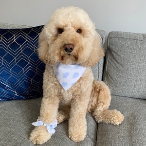 Chelsea added a photo of their purchase