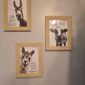 Debra added a photo of their purchase