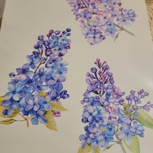 Theresa added a photo of their purchase