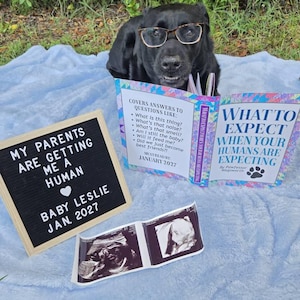 Aileen added a photo of their purchase