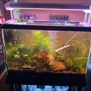 Betina added a photo of their purchase