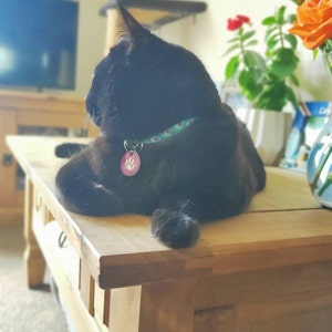 Carolyn added a photo of their purchase