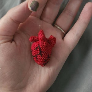 Haley added a photo of their purchase