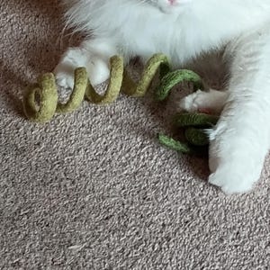 Lindsey heeft een foto van de aankoop toegevoegd