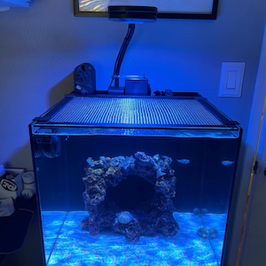 Joseph ha añadido una foto de su compra