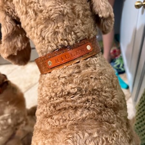 Meredith added a photo of their purchase