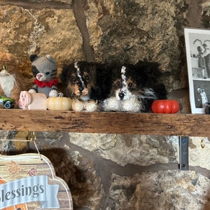 Judy added a photo of their purchase