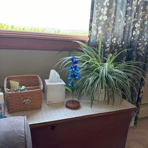 Kimberly added a photo of their purchase