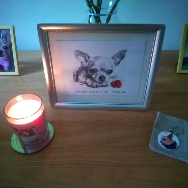 Yorkie Yorkshire Terrier no. 6 Dog Pet Sympathy/condolence/loss/note