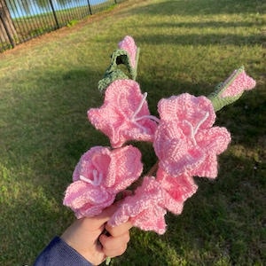Dylan added a photo of their purchase