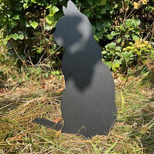 Jane added a photo of their purchase