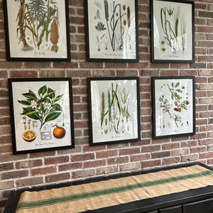 Debra added a photo of their purchase