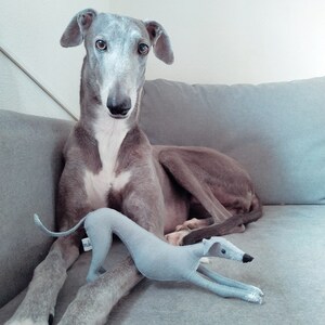 Windhund Plusch Italienischer Windhund Plusch Whippet Etsy