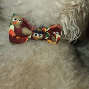 Nicole added a photo of their purchase