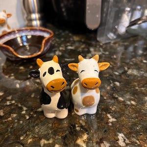 Lee added a photo of their purchase