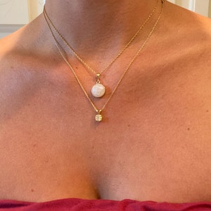 Michele added a photo of their purchase