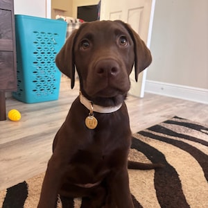 Kaya added a photo of their purchase