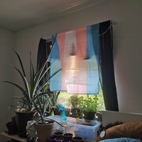 Polysexual Pride Flag Large Premium Quality Poly Flag 5ft X - Etsy UK