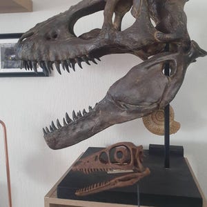 nils a ajouté une photo de son achat