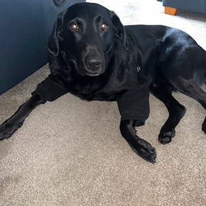 Darren added a photo of their purchase