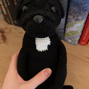 Ben added a photo of their purchase