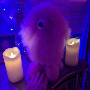 Electra hat ein Foto des gekauften Artikels hinzugefügt