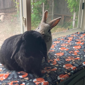 Cat added a photo of their purchase
