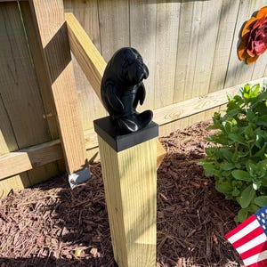 Joyce added a photo of their purchase