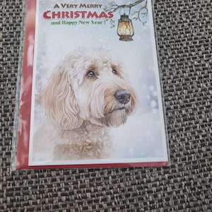michael a ajouté une photo de son achat