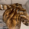 Reviewer's image